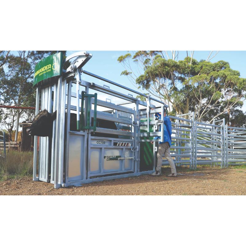Commander Agriculture CC750 Cattle Crush full view in action