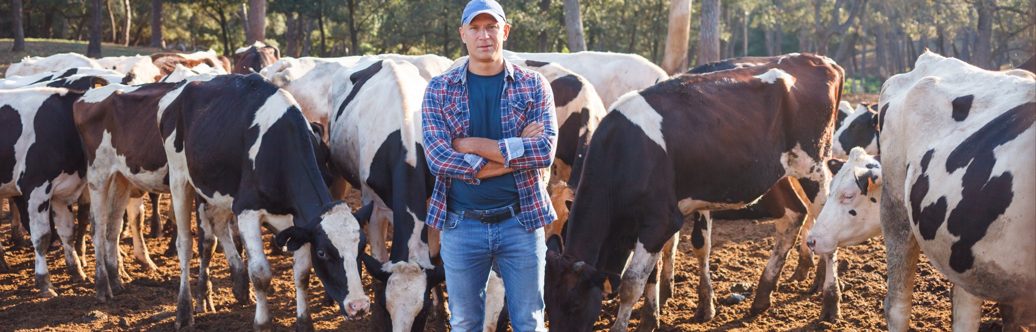 Livestock Merchant - Your Online Retailer For Livestock Equipment