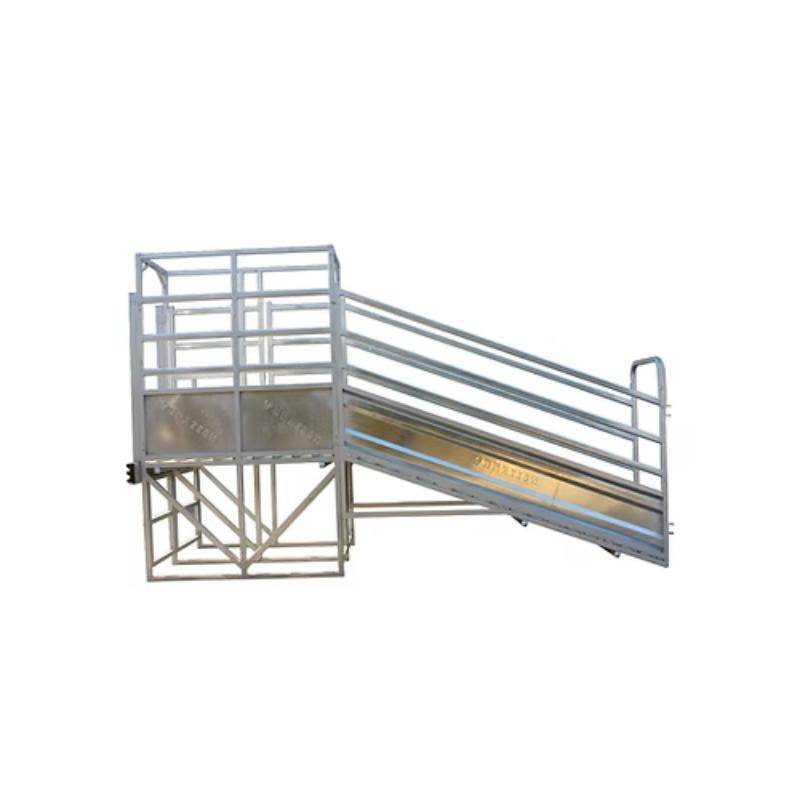 Brazzen Heavy Duty Cattle Loading Ramp side view