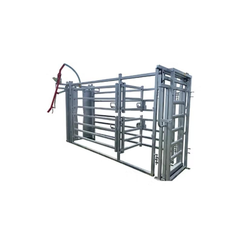 Brazzen Hobby Cattle Crush With Vet full view