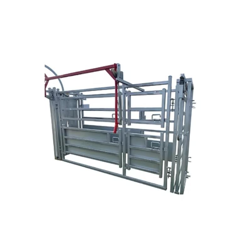 Brazzen Hobby Vet Cattle Crush Blinded full view