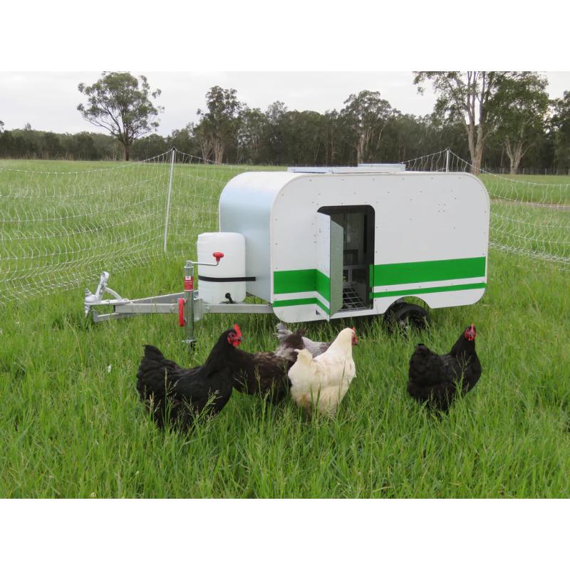 Chicken Caravan 10 with chickens in front of it