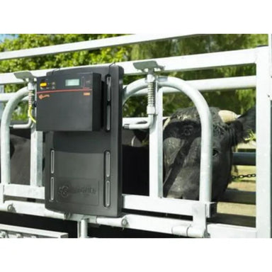 Gallagher EID Tag Reader Controller BR n action with cow behind