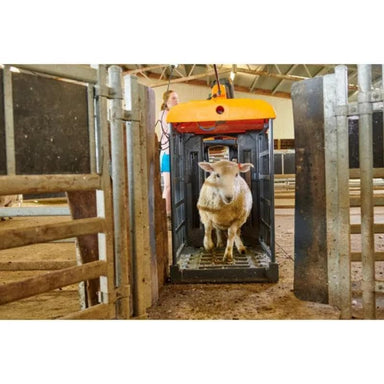 Sheep Auto Drafter Setup