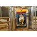 Sheep Auto Drafter Setup
