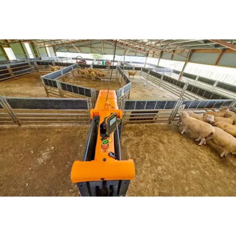 Sheep Auto Drafter Complete Layout