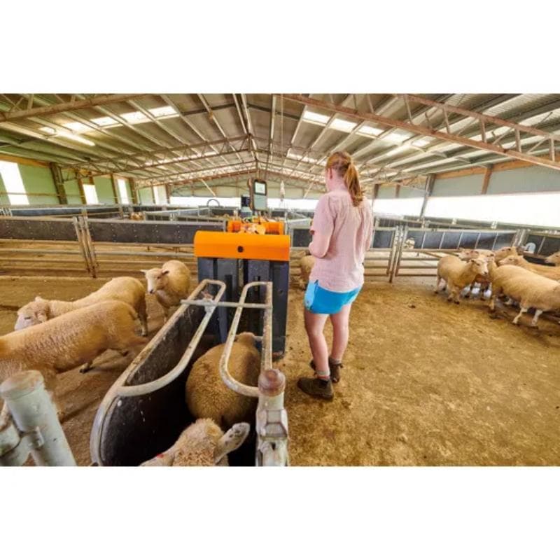 Sheep Auto Drafter Assembled