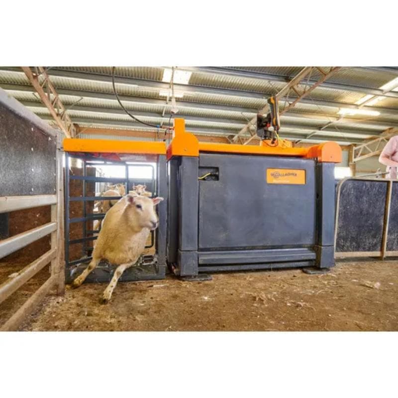 Sheep Auto Drafter Fully Automated Setup