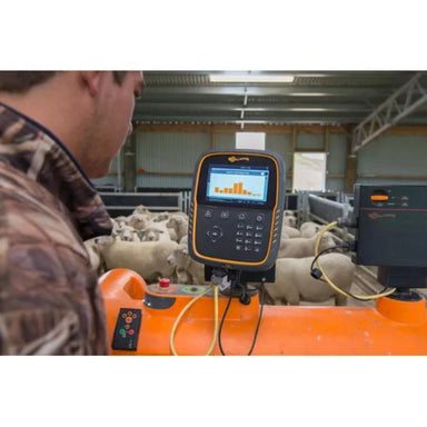 Gallagher TW-1 Weigh Scale for livestock in action