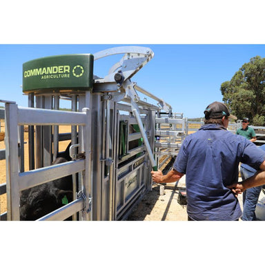 Commander Agriculture CC800 Cattle Crush headbail in operation