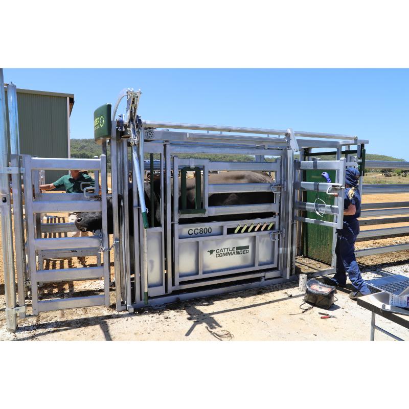 Commander Agriculture CC800 Cattle Crush side view with back top gate open