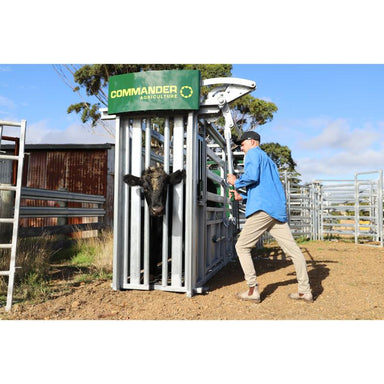 Commander Agriculture CC750 Cattle Crush locking mechanism in action