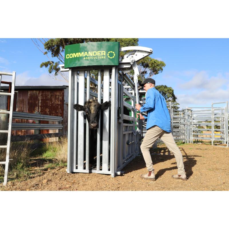 Commander Agriculture CC750 Cattle Crush locking mechanism in action