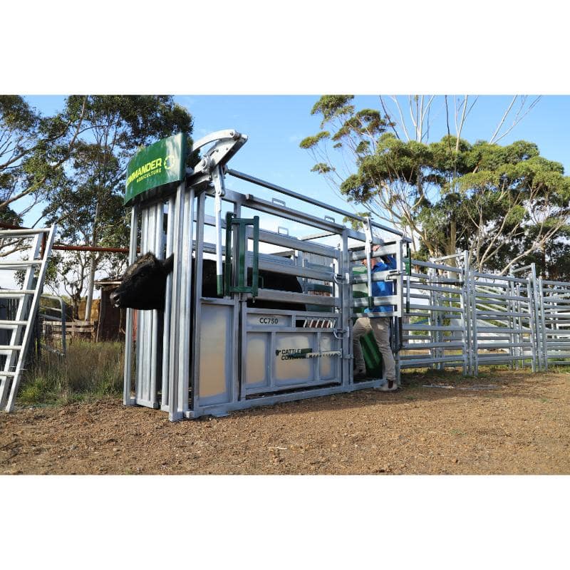 Commander Agriculture CC750 Cattle Crush full opening of vet door with kick in door pushed in