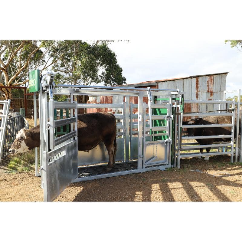 Commander Agriculture CC750 Cattle Crush full side door open