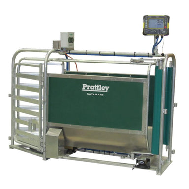 Auto drafter for sheep