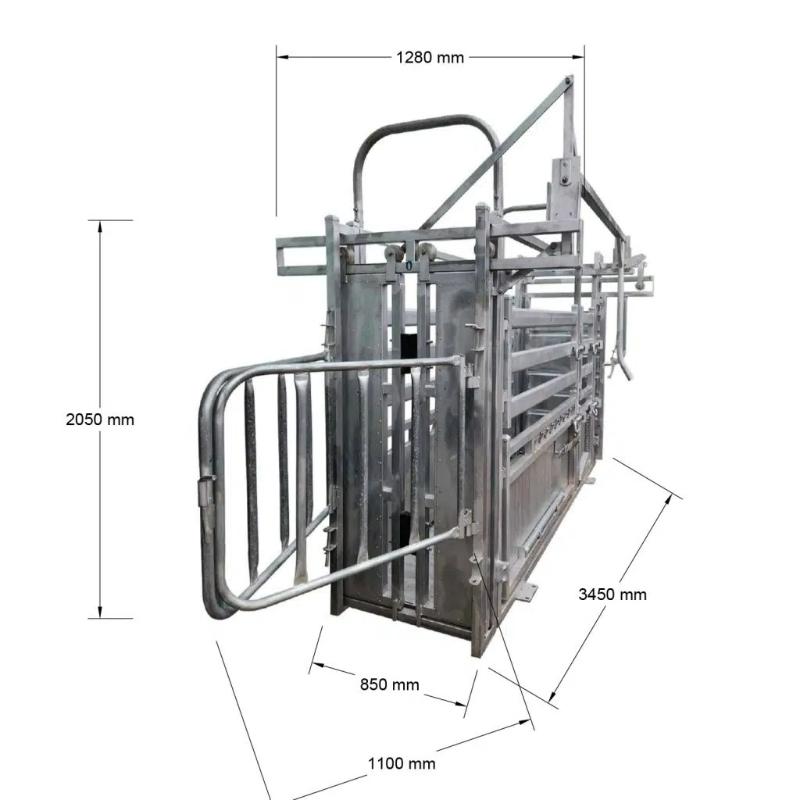 Cattle Crush with Dimension for 100 Head Cattle Yard