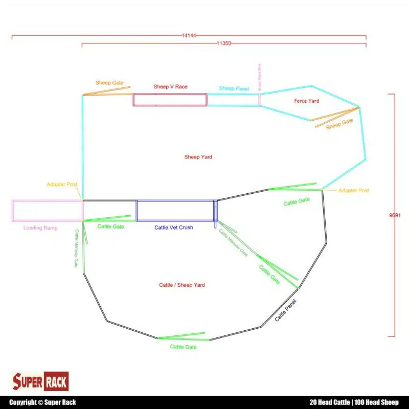 20 Head Cattle & 100 Head Sheep Yard Layout with Dimension