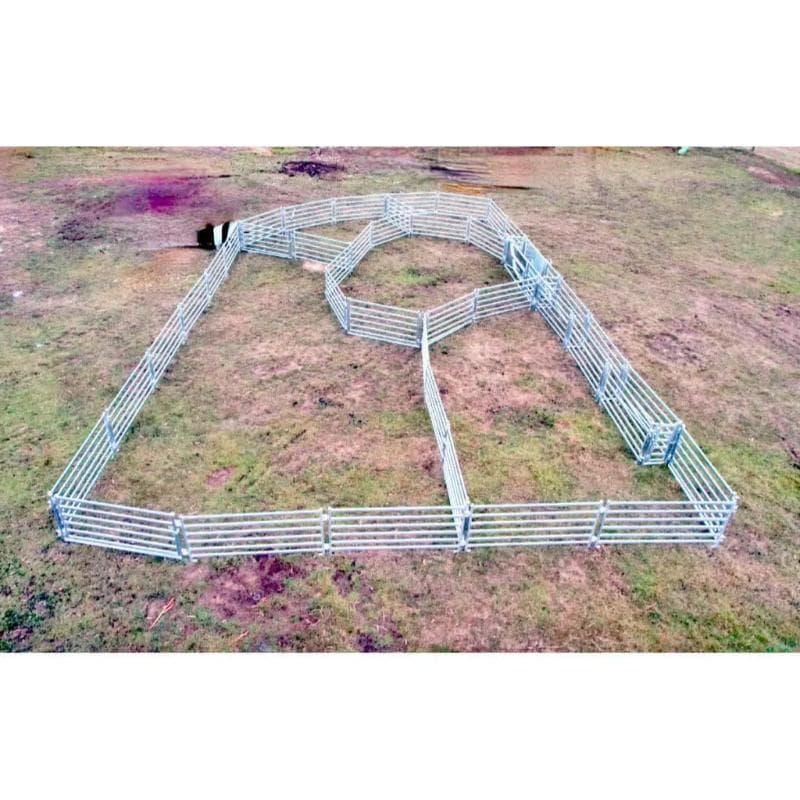 400 Head Sheep Yard Capacity Setup