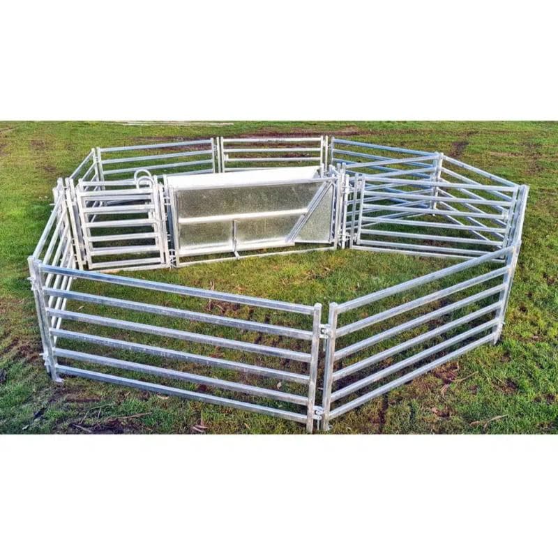 Sheep Yard Layout Set up for 50 Head Capacity