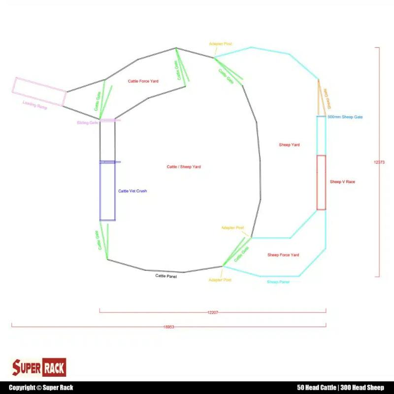 50 Head Cattle & 300 Head Sheep Yard Layout Solution