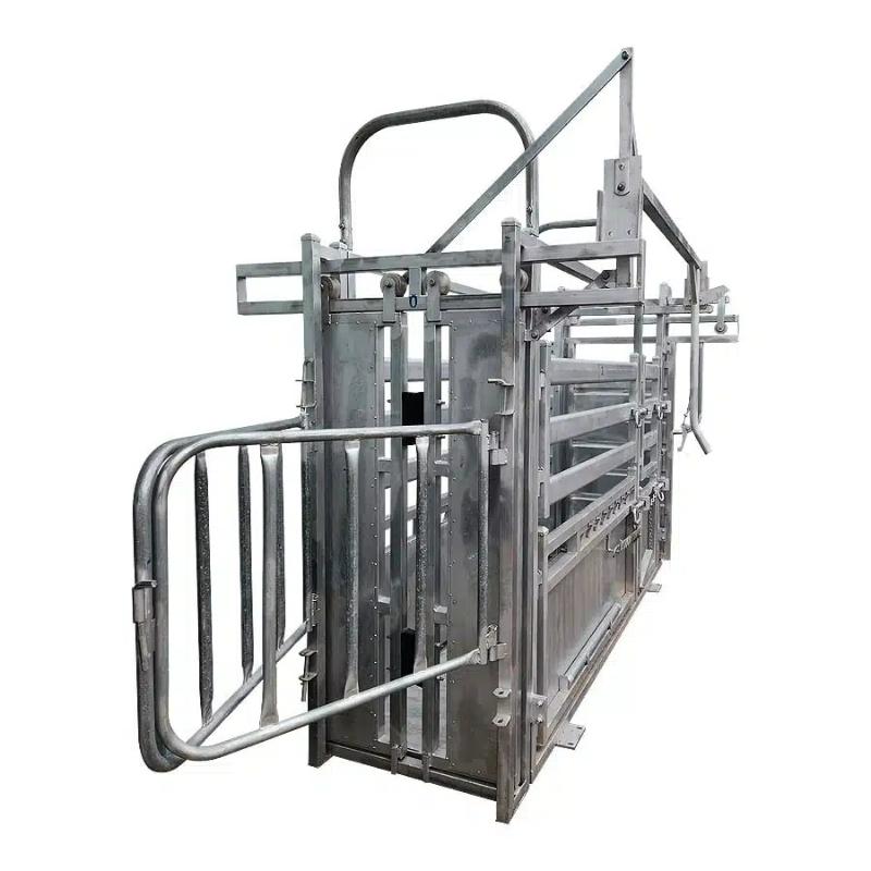 Cattle Crush Structure Features