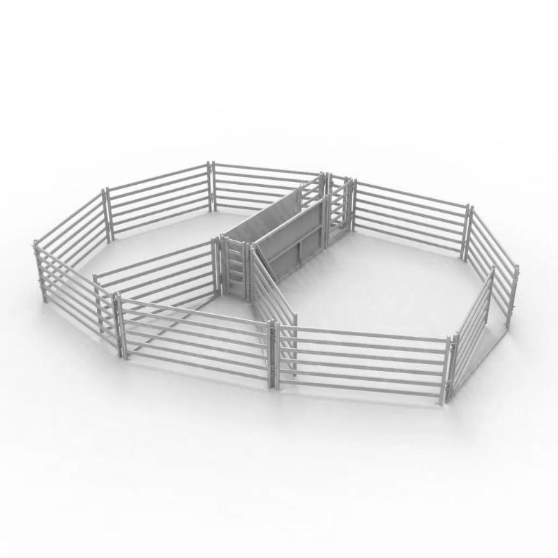 50 Head Sheep Yard Structure Plan