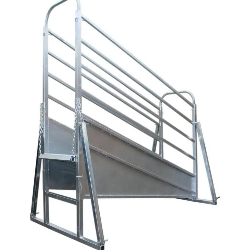 Cattle Loading Ramp Structure for 65 Head Cattle Yard