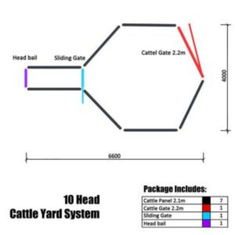 10 Head Cattle Yard Layout