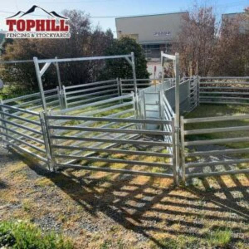 Complete Assembled Structure for 1500 Head Sheep Yard
