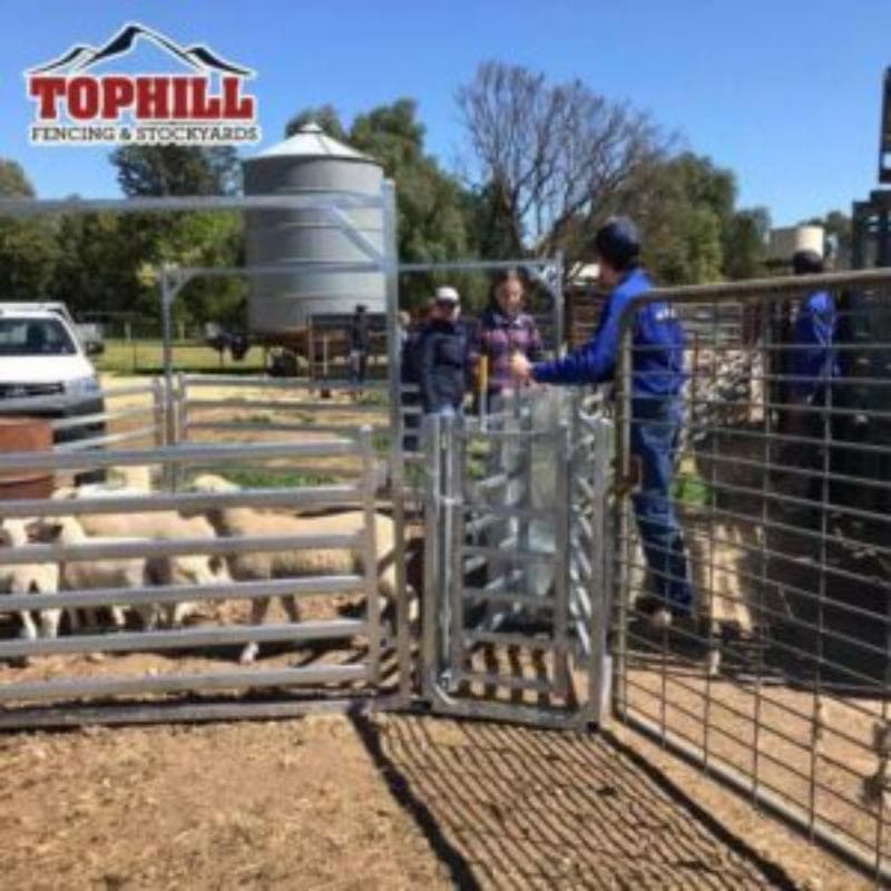 Sheep Yard Complete Yard System for 15 Head Sheep Yard