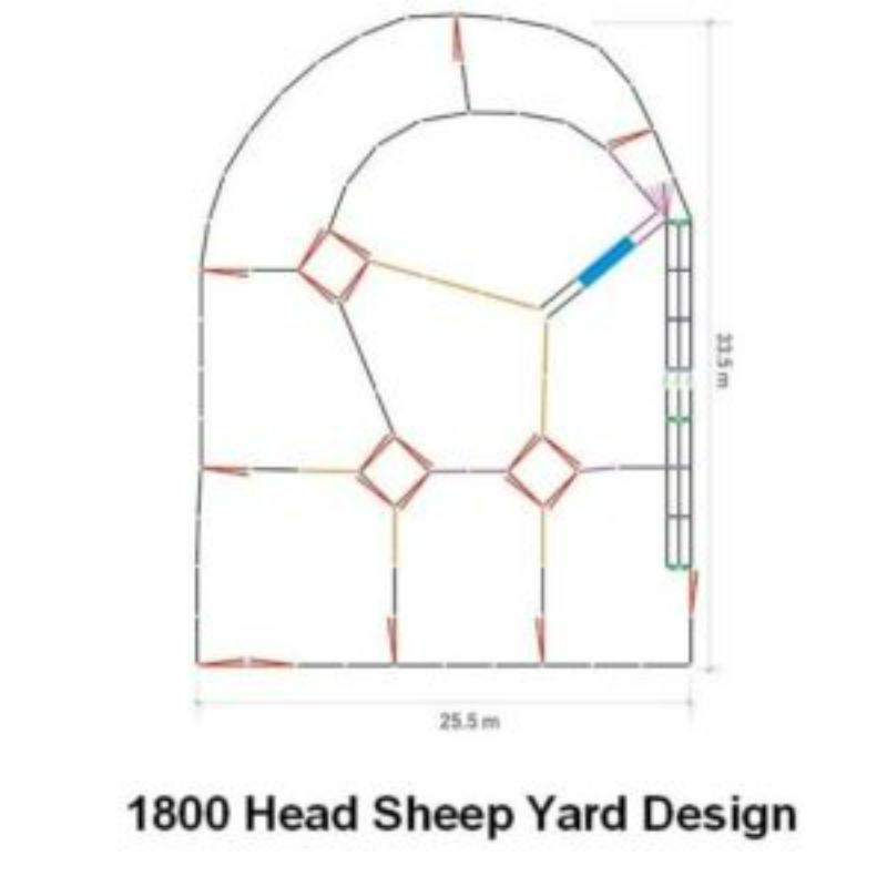 1800 Head Sheep Yard System