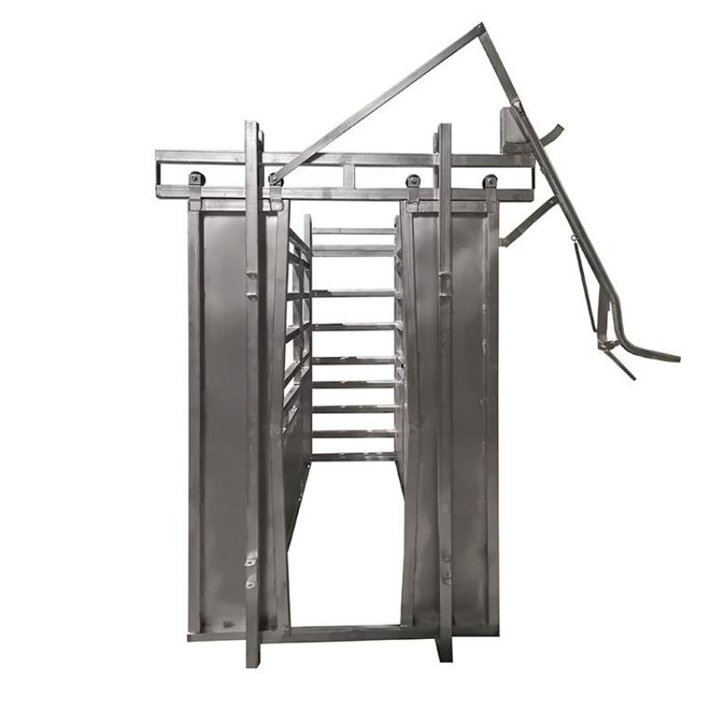 Cattle Crush Head Bail Structure for 20 Head Cattle Yard