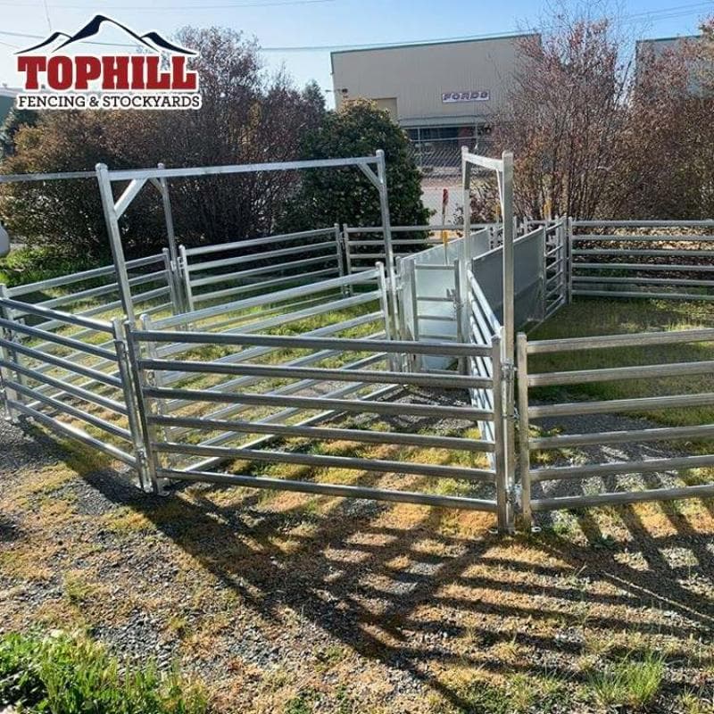 Complete Assembled Structure for 260 Head Sheep Yard