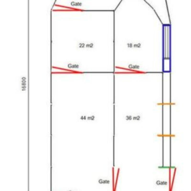 Sheep Yard Plan with Dimensions