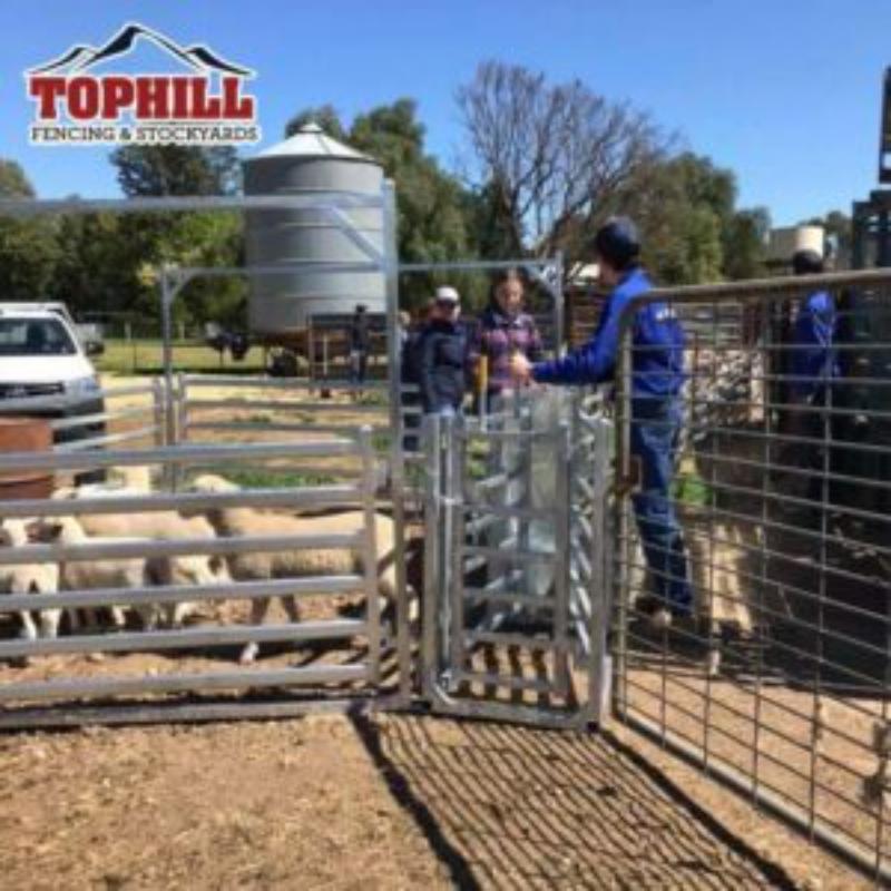 320 Head Sheep Yard Complete Kit
