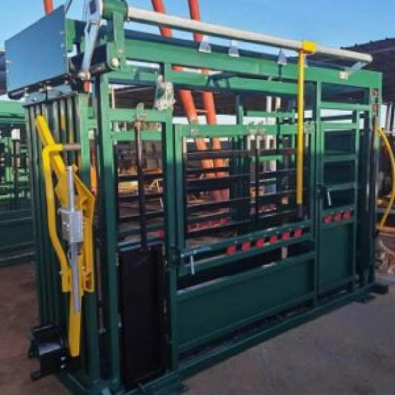 Heavy Duty Vet Cattle Crush Setup Assembled for 35 Head Cattle Yard Design