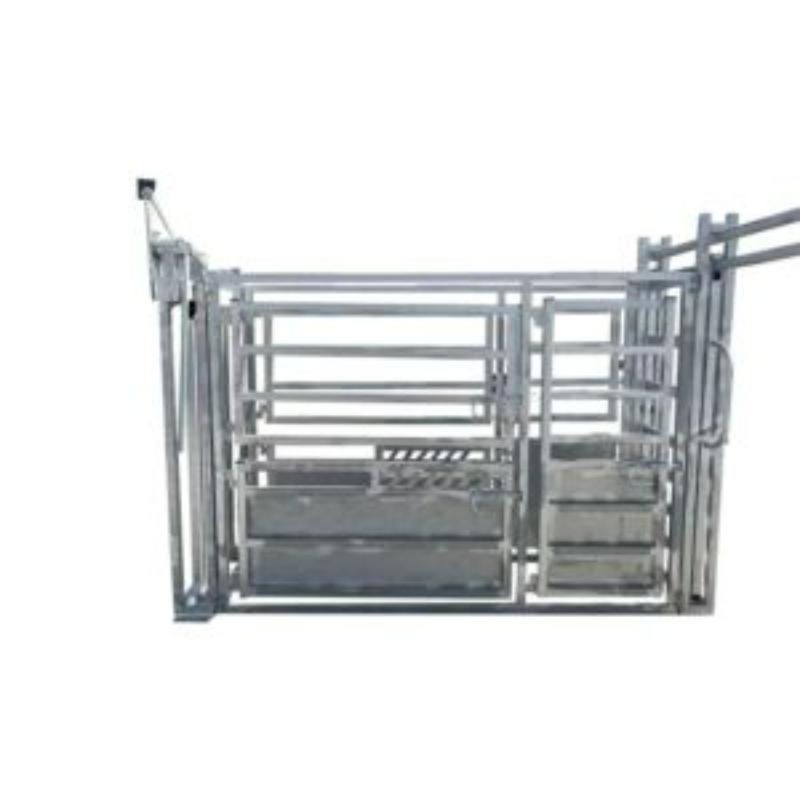 Vet Cattle Crush Structure
