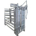 Cattle Crush Structure for 50 Head Cattle Yard