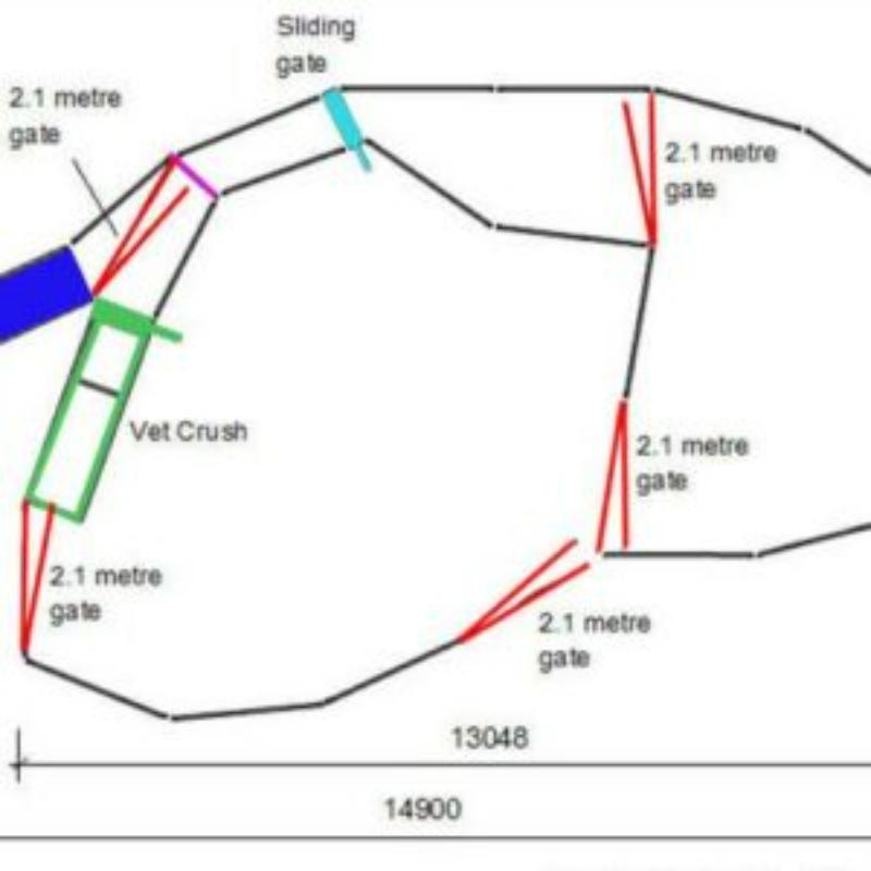 65 Head Cattle Yard Design