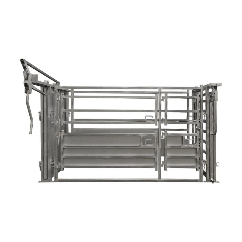Super Rack Vet Cattle Crush Auto front side view